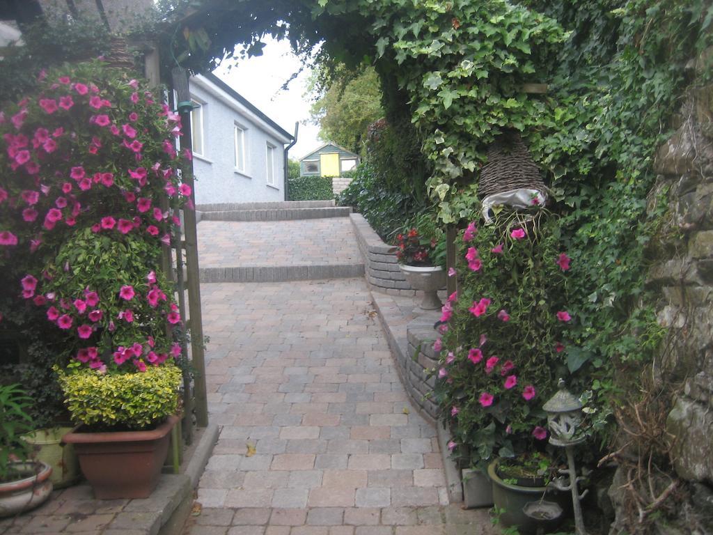 Ashleigh House Bed & Breakfast Monaghan Kültér fotó